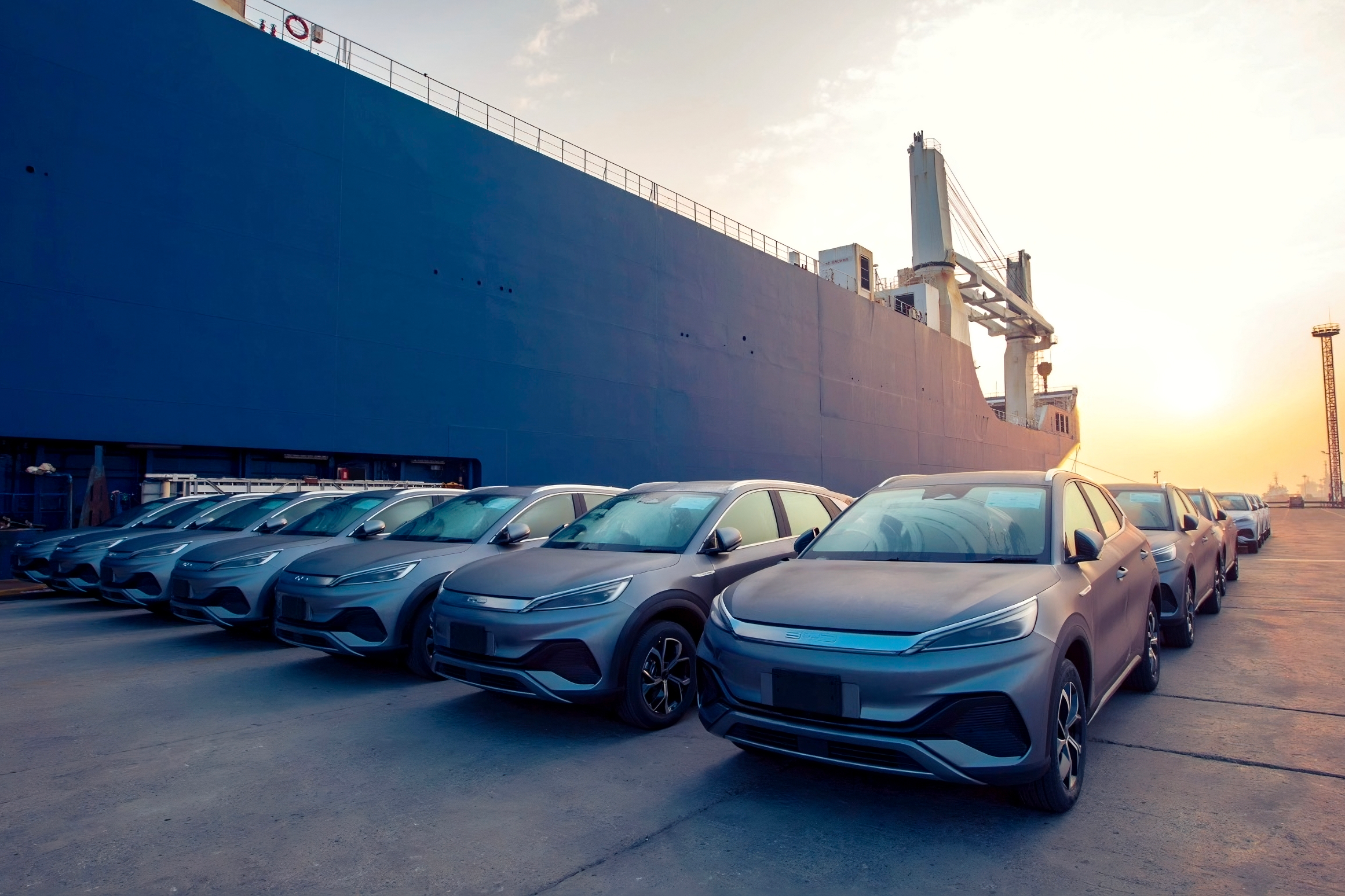 BYDs at port cropped